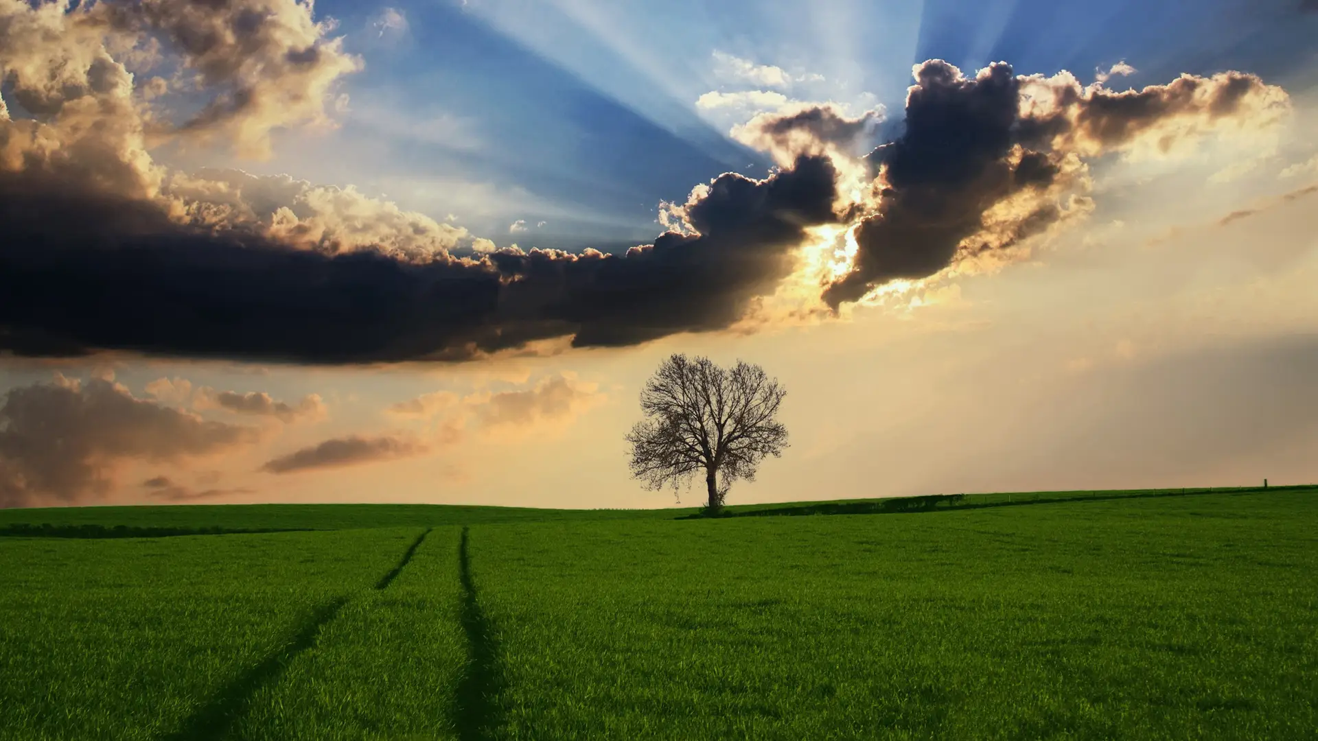 C变量真的都可以使用{0}来初始化吗？